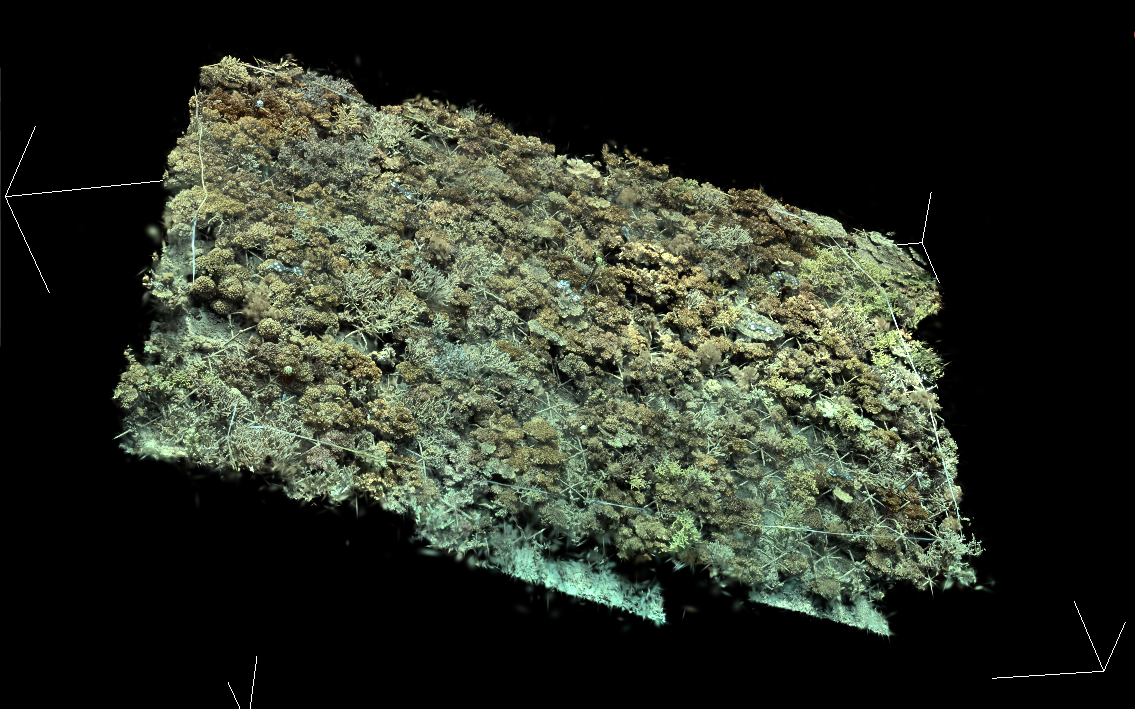 Interactive 3D spatial twin of a restored coral reef